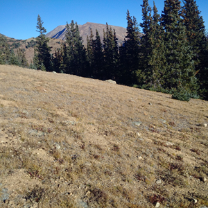 Mt Elbert (12).jpg